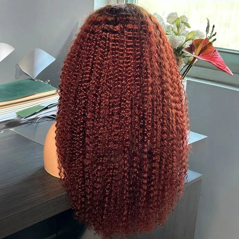 Afro Colored Bleached Knots Human Hair Wig