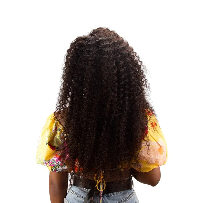 Natural Hair Color Long Curly Human Hair 5*5 Lace Front Wigs